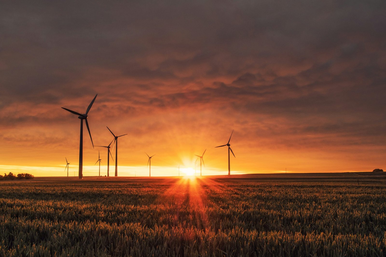  The Rise of Talaria Power Tech: A Journey Through Innovation and Excellence